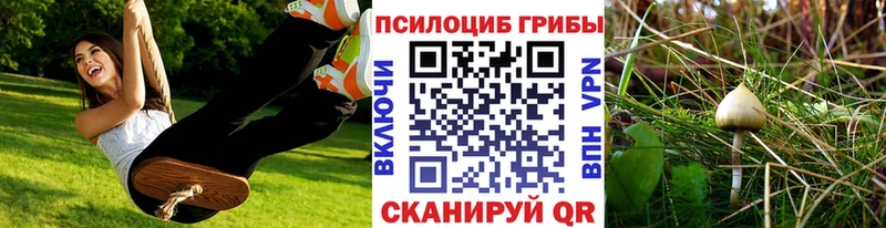 Псилоцибиновые грибы MAGIC MUSHROOMS Таруса